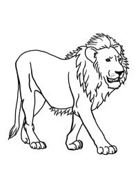 aslan