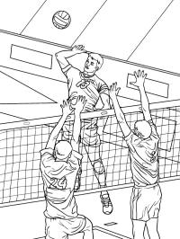 Voleybol