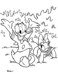 Donald ve Katrien