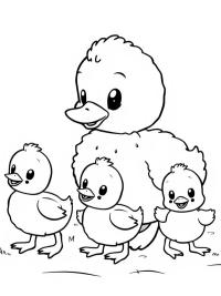 Ördek ve yavruları