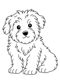 Maltez köpeği