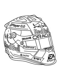 Max Verstappen kaskı