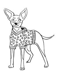 Pinscher