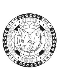 Kedi Mandala