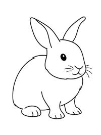 Sevimli tavşan