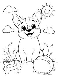 Sevimli Welsh Corgi yavrusu