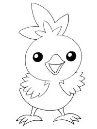 Torchic