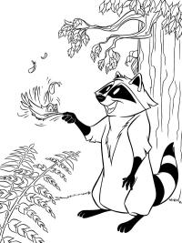 Rakun Meeko ve Sinekkuşu Flit