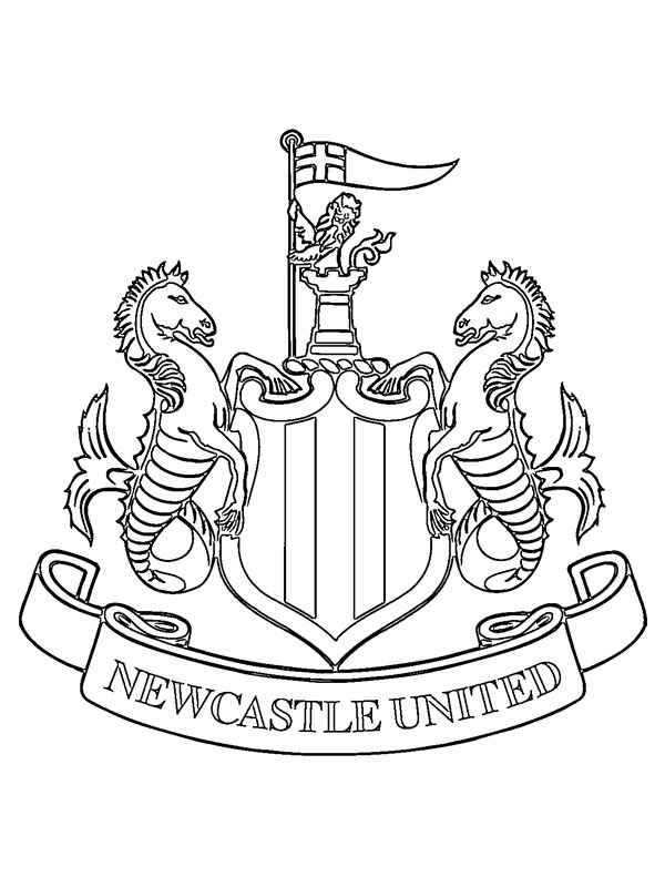 Newcastle United Boyama sayfası